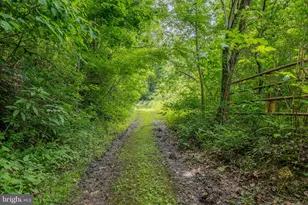 4668 Route 103 N, Lewistown, PA 17044 - Photo 44