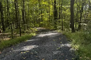 185 Bailey Gap Rd, Reedsville, PA 17084 - Photo 6