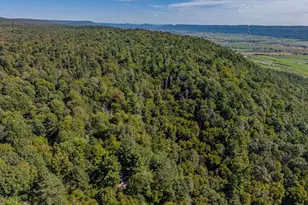 371 Copeland Spring Trail, Allensville, PA 17002 - Photo 6