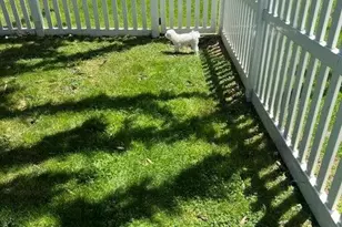 1096 Bloom Rd, Danville, PA 17821 - Photo 18