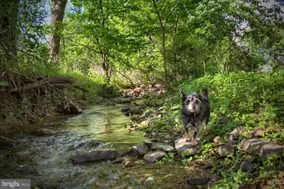 1025 Bloom Road, Danville, PA 17821 - Photo 46