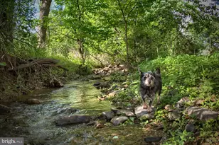 1025 Bloom Rd, Danville, PA 17821 - Photo 46