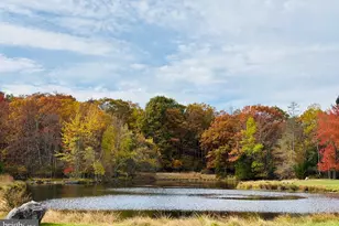 287 Sunrise Dr, Henryville, PA 18332 - Photo 44