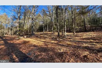 2480 Paradise Trail, East Stroudsburg, PA 18301 - Photo 28