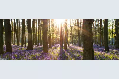 2818 Magic Mountain Road, Henryville, PA 18332 - Photo 2