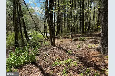 0 Lot # 2 Haney Road, Kunkletown, PA 18058 - Photo 10