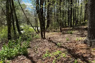 0 Haney Rd Lot 2, Kunkletown, PA 18058 - Photo 10