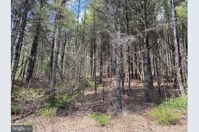 0 Lot # 2 Haney Road, Kunkletown, PA 18058 - Photo 6