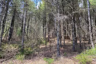 0 Haney Rd Lot 2, Kunkletown, PA 18058 - Photo 6