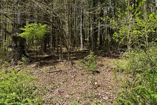 0 Haney Rd Lot 2, Kunkletown, PA 18058 - Photo 12