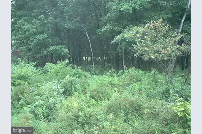 0 Orono Dr A 19, Pocono Lake, PA 18347 - Photo 2