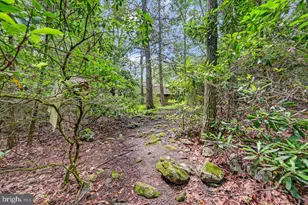 217 Lower Valley Dr, Kunkletown, PA 18058 - Photo 90