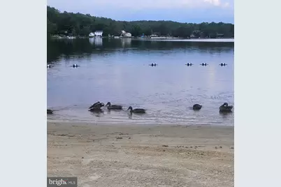 14-21-6 Omaha Trail, Pocono Lake, PA 18347 - Photo 1