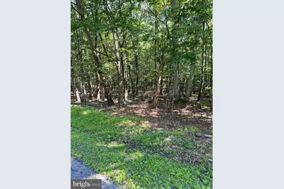 Pocono Forested Drive, East Stroudsburg, PA 18302 - Photo 1