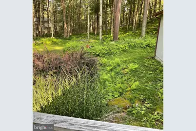 207 Pima Path, Pocono Lake, PA 18347 - Photo 4