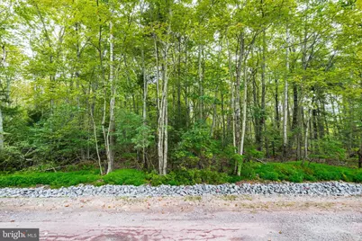812 Beaver Run, Pocono Lake, PA 18347 - Photo 4