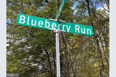 Lot 54 Blueberry Run, Blakeslee, PA 18610 - Photo 4