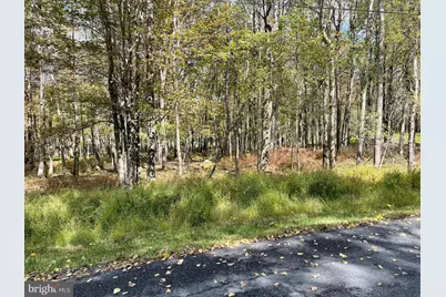 Lot 54 Blueberry Run, Blakeslee, PA 18610 - Photo 2
