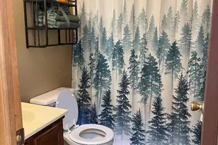 5116 Iroquois St, Tobyhanna, PA 18466 - Photo 12