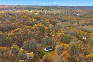 395 Sullivan Trail, Long Pond, PA 18334 - Photo 50