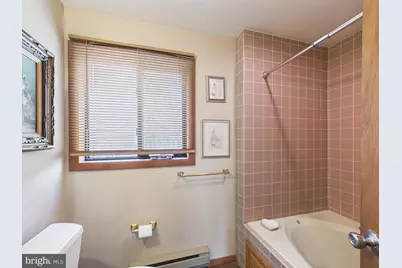 119 Chitimacha Drive, Pocono Lake, PA 18347 - Photo 22