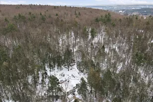 172 Evergreen Hollow Rd, Effort, PA 18330 - Photo 68