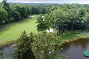 113 Gross Dr, Pocono Pines, PA 18350 - Photo 40