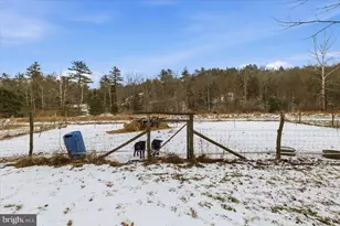 159 Colony Vlg, Cresco, PA 18326 - Photo 38