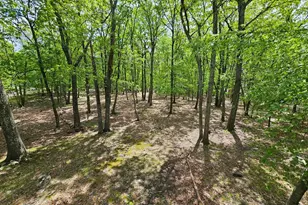 8226 Woodchuck Ct, East Stroudsburg, PA 18301 - Photo 26