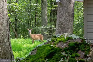 630 Wooddale Rd, East Stroudsburg, PA 18302 - Photo 26