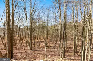 102 Eagle View Run Dr, Long Pond, PA 18334 - Photo 26