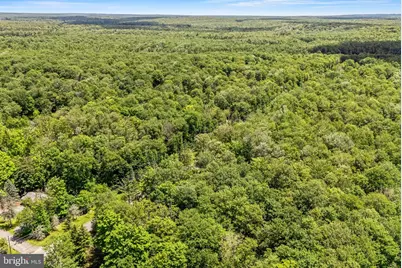 7813 Lake Shore Drive, Pocono Lake, PA 18347 - Photo 92