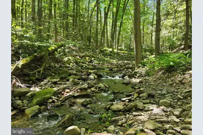 468 Devils Hole Road, Tobyhanna, PA 18326 - Photo 40