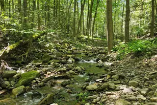 468 Devils Hole Rd, Cresco, PA 18326 - Photo 40