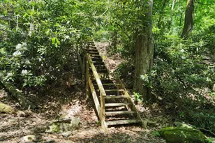 468 Devils Hole Rd, Cresco, PA 18326 - Photo 38