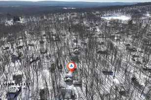 157 Selig Rd, Pocono Lake, PA 18347 - Photo 68