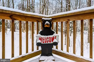 391 Berry Ln, Pocono Lake, PA 18347 - Photo 6