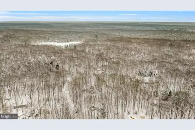 391 Berry Lane, Pocono Lake, PA 18347 - Photo 42