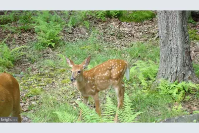 604/605 Wagner Way, Pocono Lake, PA 18347 - Photo 4