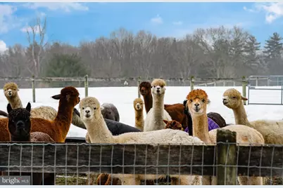 216 Merwinsburg Road, Effort, PA 18330 - Photo 2