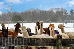 216 Merwinsburg Rd, Effort, PA 18330 - Photo 2