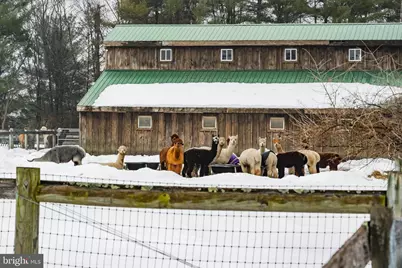 216 Merwinsburg Road, Effort, PA 18330 - Photo 60