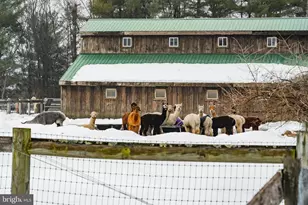 216 Merwinsburg Rd, Effort, PA 18330 - Photo 60