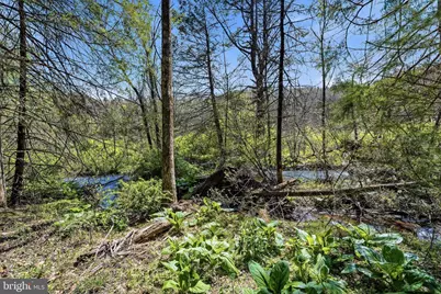 216 Merwinsburg Road, Effort, PA 18330 - Photo 74