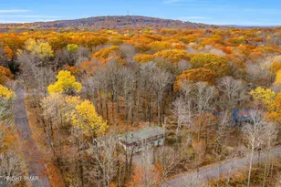 1769 Stag Run, Pocono Lake, PA 18347 - Photo 42