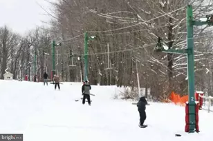 1654 Stag Run, Pocono Lake, PA 18347 - Photo 92