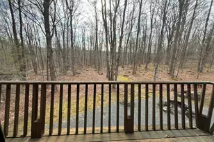 1654 Stag Run, Pocono Lake, PA 18347 - Photo 44