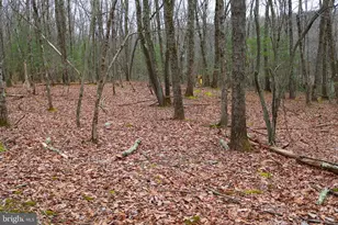 0 Woods Crossing, Saylorsburg, PA 18353 - Photo 12