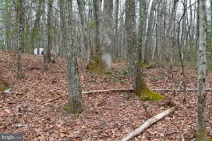 0 Woods Crossing, Saylorsburg, PA 18353 - Photo 14