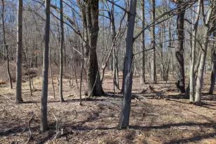 0 T628, Effort, PA 18330 - Photo 2